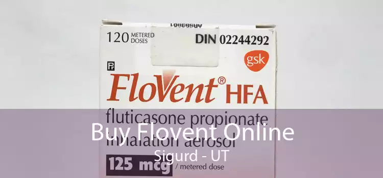 Buy Flovent Online Sigurd - UT