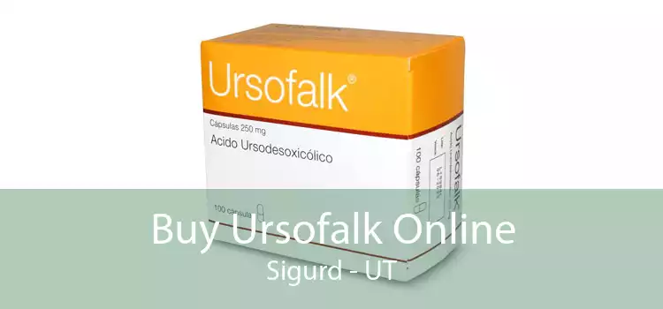 Buy Ursofalk Online Sigurd - UT