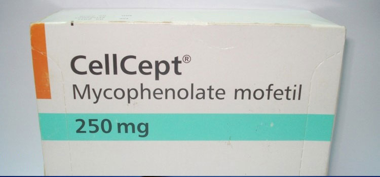 order cheaper cellcept online in Alpine, UT