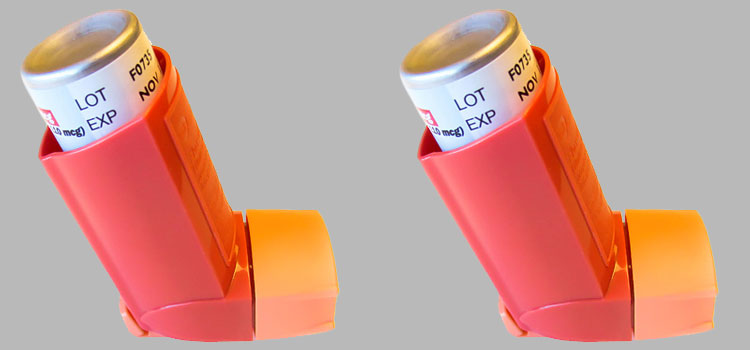order cheaper flovent online in Farr West, UT