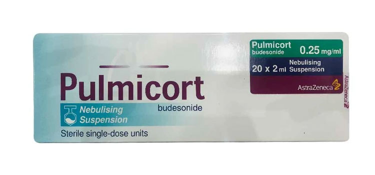 order cheaper pulmicort online in Marriott-Slaterville, UT